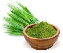 Barley Grass Powder