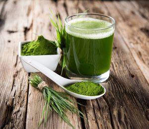 Wheat Grass Powder