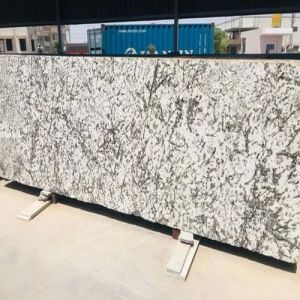 Zebra White Granite Slab