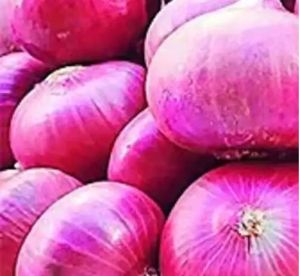 Red Onion