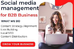 Social media management for B2B Business