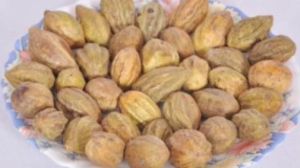 myrobalan nuts