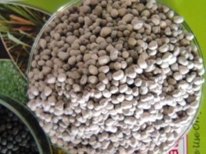 gypsum granules