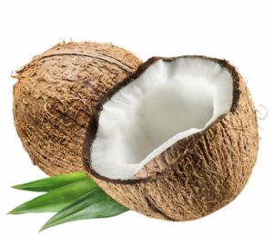 Coconut