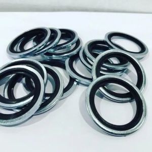 Dowty Bonded Seals