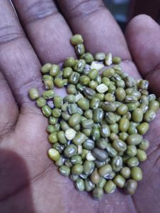 Mung Beans