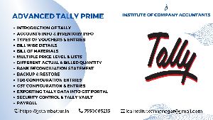 tally training services