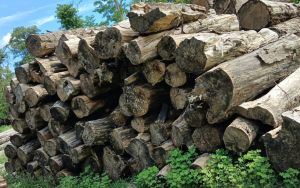 GUTEL WOOD LOGS