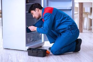 Carrier Refrigerator Repairing Service