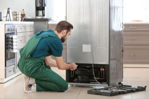 IFB Refrigerator Repairing Service