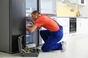 lg refrigerator repairing service