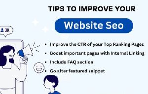 Search Engine Optimization Services