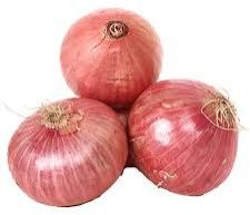 Onion