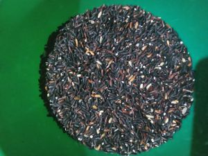 Black Kavuni RIce