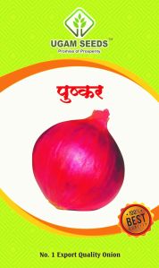 pushkar red onion