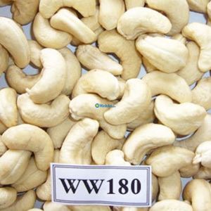 W180 Cashew Nut