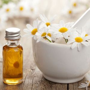 Chamomile Oil