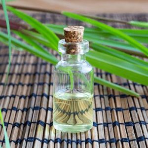 Citronella Oil