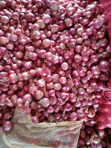 Red Onion