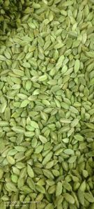 Green Cardamom