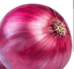 Red Onion