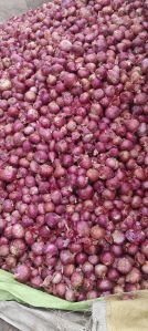 Red Onion