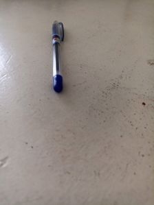 Pen