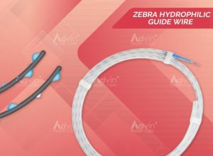 Zebra Hydrophilic Guide Wire