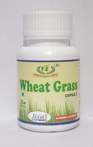 wheat grass capsules