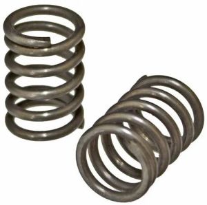 Valve Springs