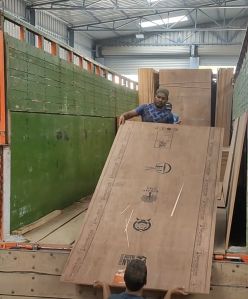 bwp plywood