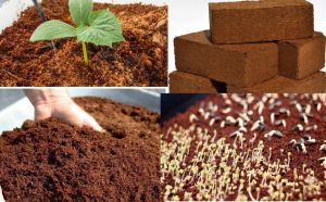 Cocopeat Brick