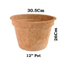 Coir Pot