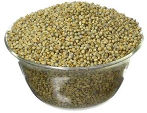 Millets (bajra)