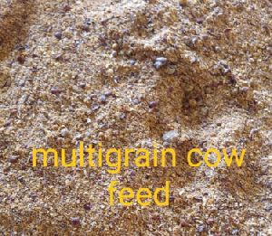 Multi grain cattle feed