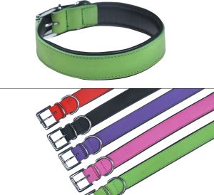 pet collars