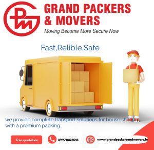 professional mover packers