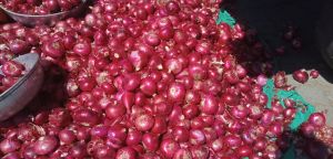 Red Onion