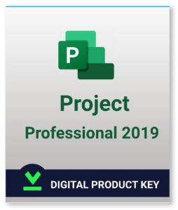 Microsoft Project Professional 2019 Software