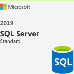 Microsoft SQL Server 2019 Standard Software