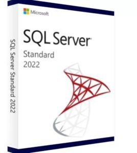 Microsoft SQL Server 2022 Standard Edition