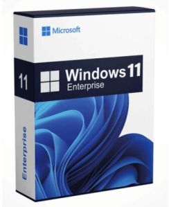 microsoft windows 11 enterprise software