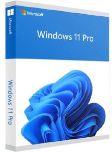 Microsoft Windows 11 Pro Software