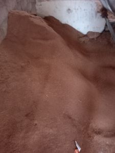 Coco Peat Powder