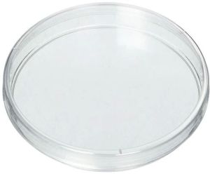 Glass Petri Dish