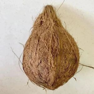 Solid Husked Coconut