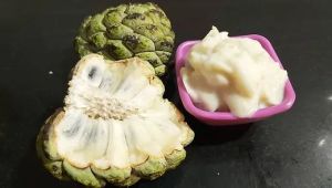 Natural Custard Apple Pulp