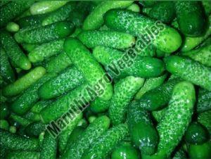 Fresh Gherkins