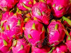 Dragon Fruits