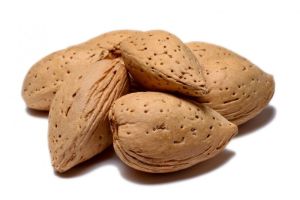 Shelled Almonds